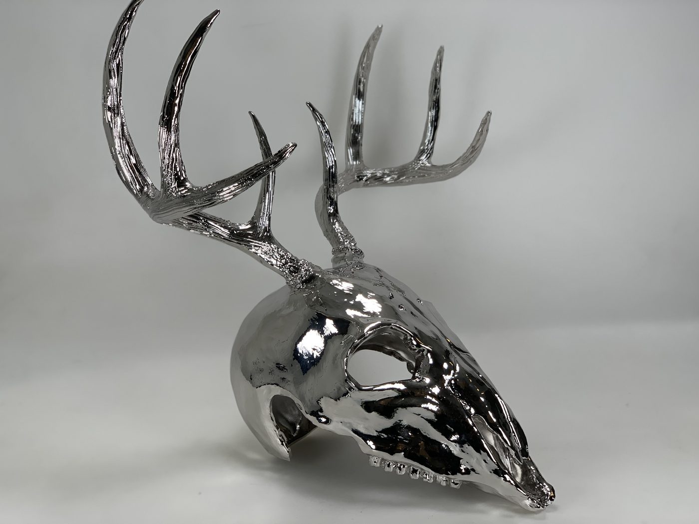 Mirror chrome plated deer skull with tall branching antlers photographed at an angle on a light grey background