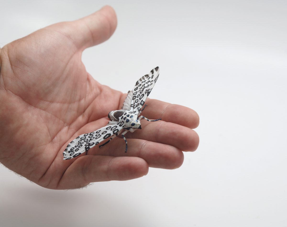 Hand holding a small hand-painted moth figurine with black-and-white spotted wings against a plain white background