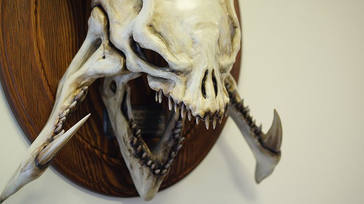 Detailed bone-toned creature skull with sharp teeth and long jaw spikes mounted on a round dark wood plaque on a light wall